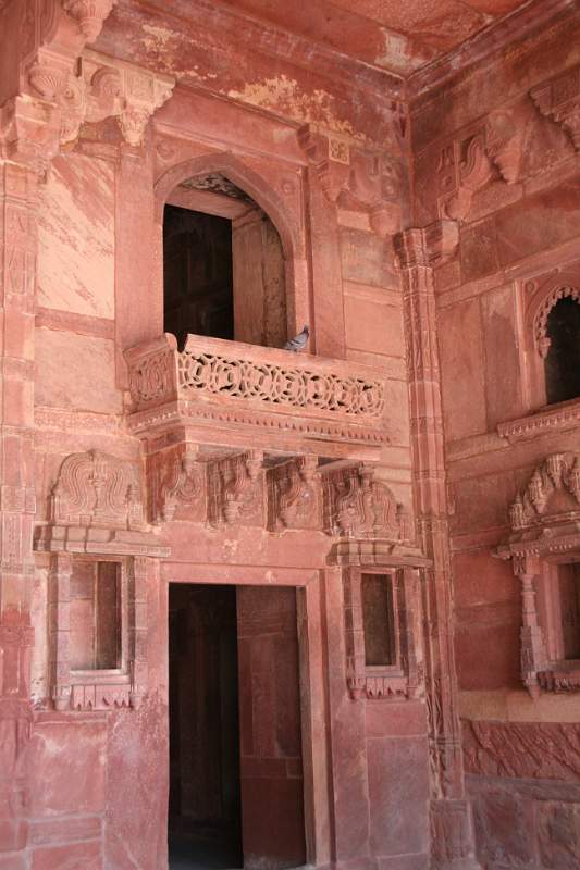 India & Nepal 2011 - 1336